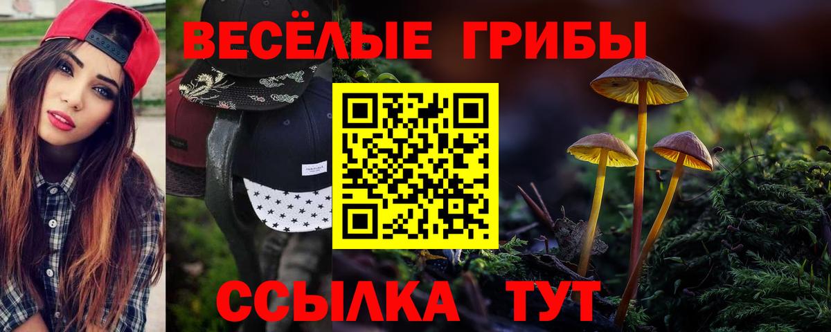 Назрань  Галлюциногенные грибы мухоморы  Вход с VPN 